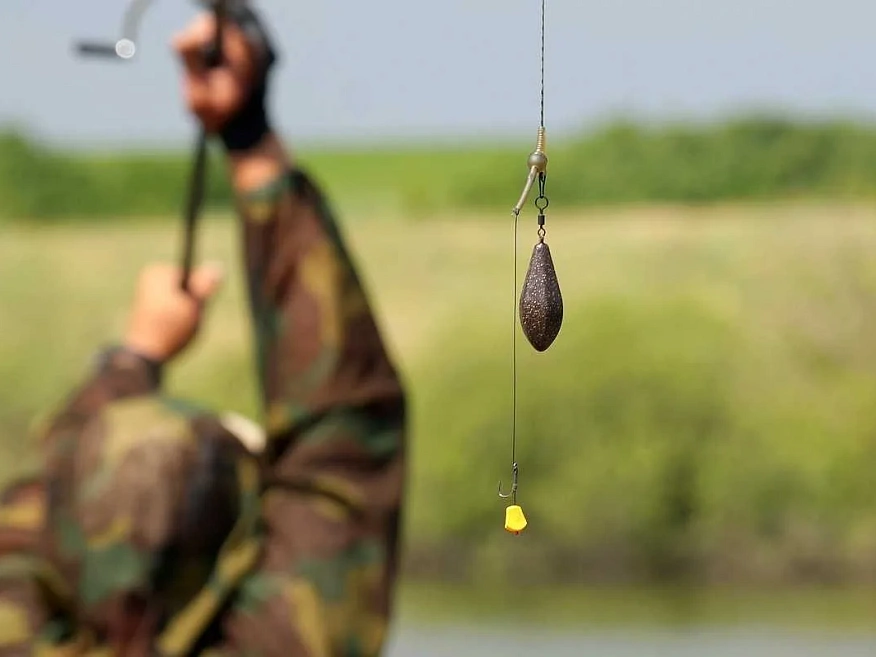 Карпфишинг для начинающих в 2026 году: С чего начать? Советы от FishermanPro Карпфишинг для начинающих в 2026 году: С чего начать? Советы от FishermanPro