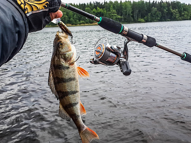Выбор первого спиннинга в 2026 году: Полное руководство от FishermanPro